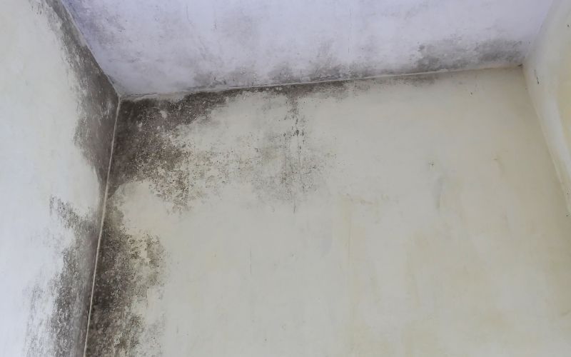 Thời tiết thay đổi dẫn đến sự thay đổi nhiệt độ đột ngột… dẫn tới xuất hiện những vết nứt, khe hở gây ra việc thấm dột.