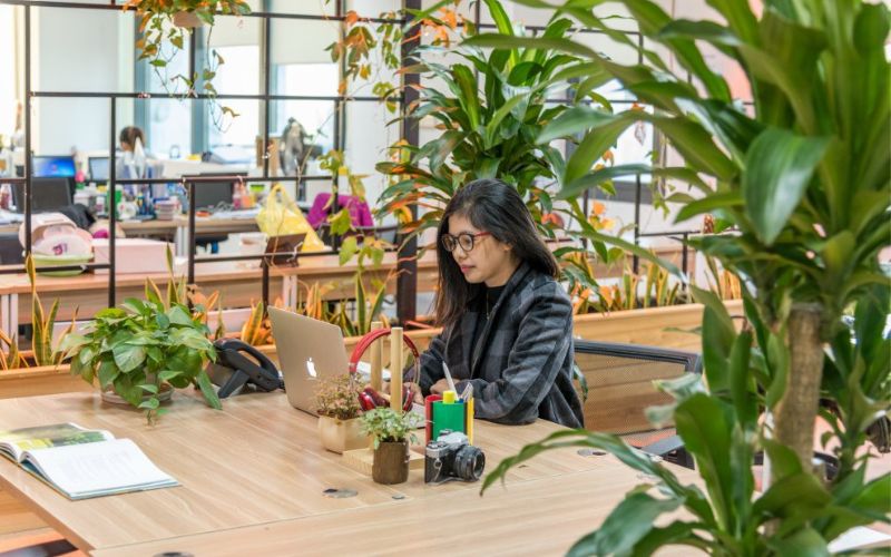 Thiết kế văn phòng hòa cùng thiên nhiên rất được yêu thích bởi sự mới mẻ và sáng tạo